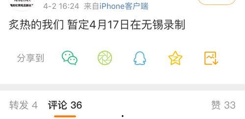 娱乐吃瓜酱文件传输,揭秘文件传输背后的精彩故事