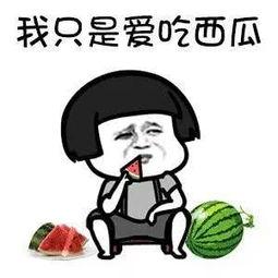 娱乐圈吃瓜涨知识,吃瓜涨知识，揭秘明星幕后故事